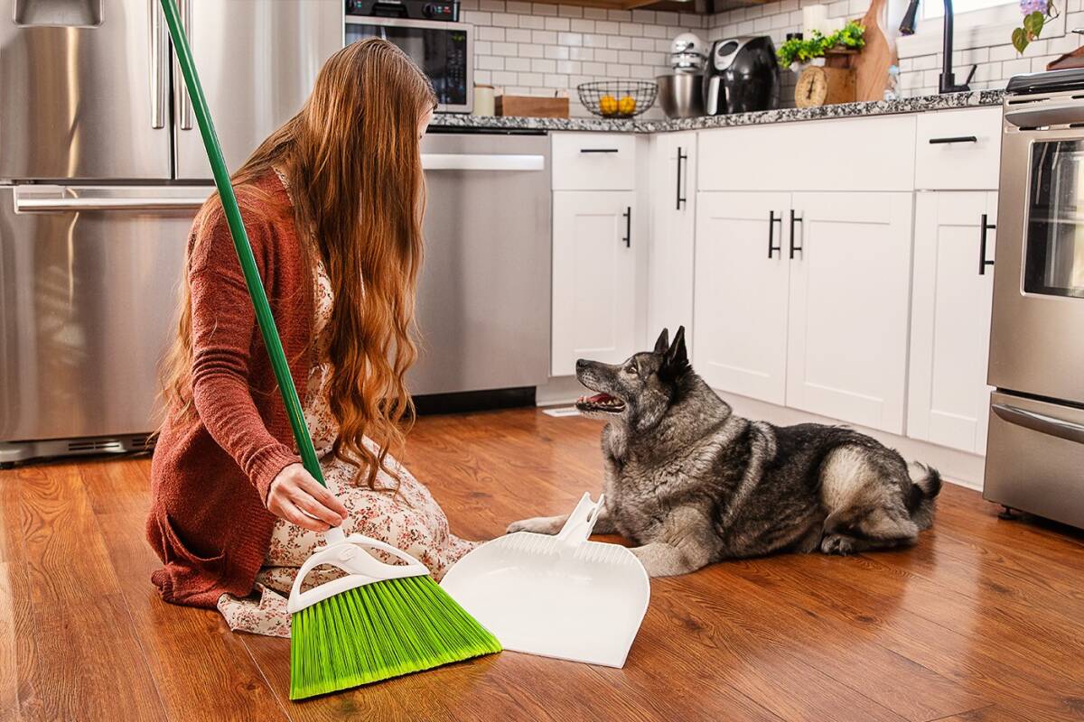 Pet Plus Angle Broom with Dustpan 2 Pet Plus Angle Broom with Dustpan