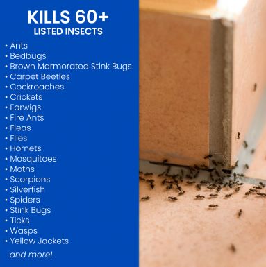 1-Gallon Ready To Use Home Pest Plus Germ Killer Indoor And Outdoor Insect Killer