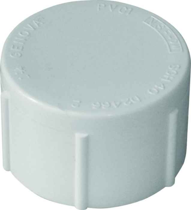 SCH 40 FPT PVC Dome Pipe Cap, 1\