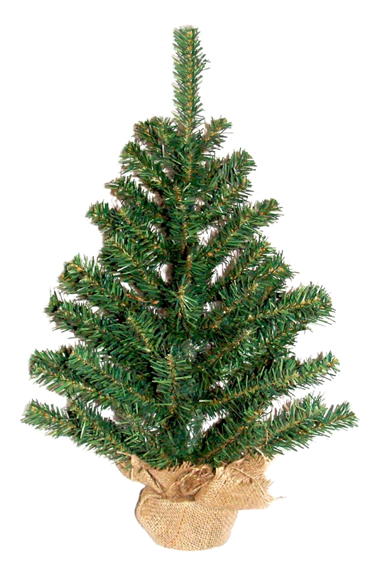 12-Inch X 7-1/2-Inch Ball And Burlap Tree