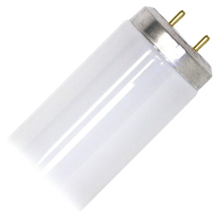20-Watt T12 G13-Bi Pin Cool White Fluorescent Linear Light Tube, 1-Pack