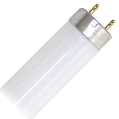 30-Watt T8 G13-Bi Pin Cool White Fluorescent Linear Light Tube, 1-Pack