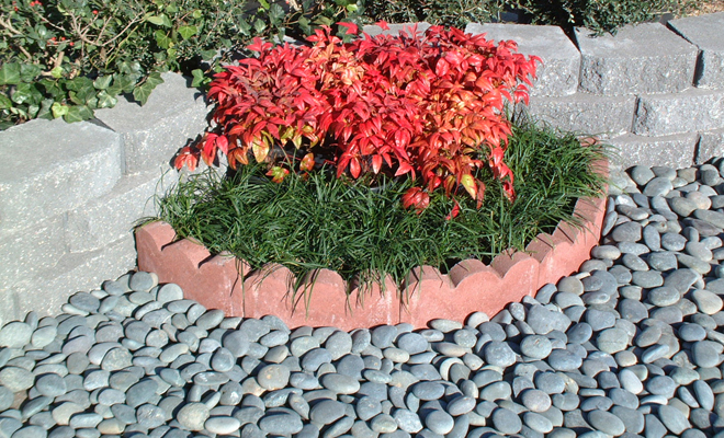 12 x 2-Inch Curved Scallop Red Edging 1 12 x 2-Inch Curved Scallop Red Edging
