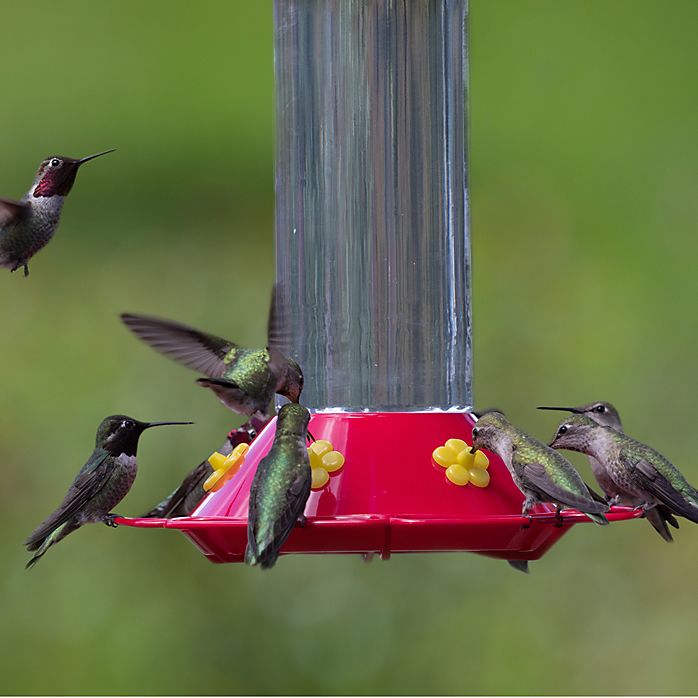 30-Ounce Glass Hummingbird Feeder