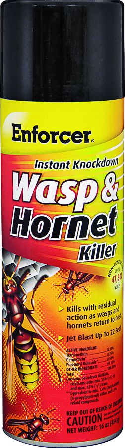 Wasp And Hornet Killer Areo
