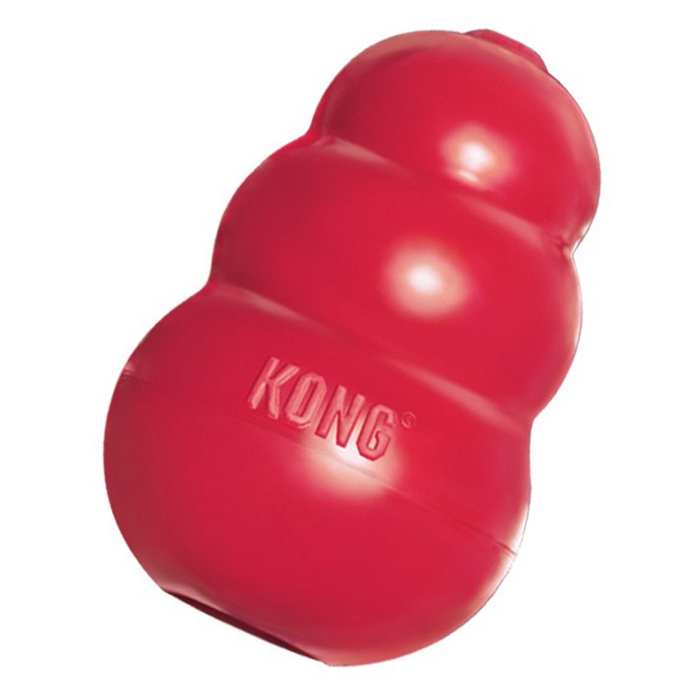 Classic Rubber Dog Toy, Large