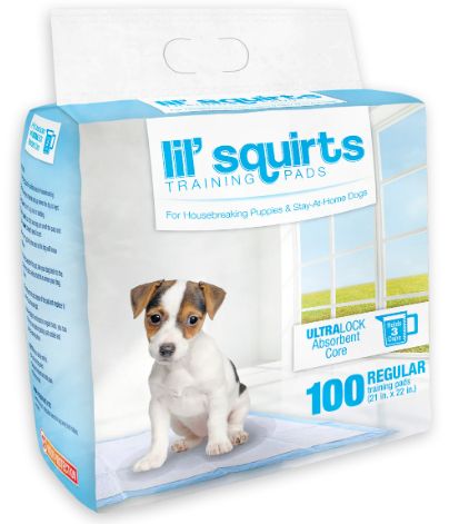 21 x 22-Inch Puppy And Dog Training Pads, 100-Pack