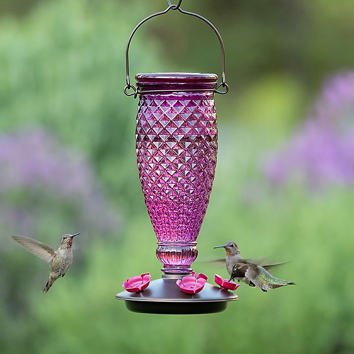 Diamond Wine Top-Fill Glass Hummingbird Feeder, 24-Ounce Nectar Capacity