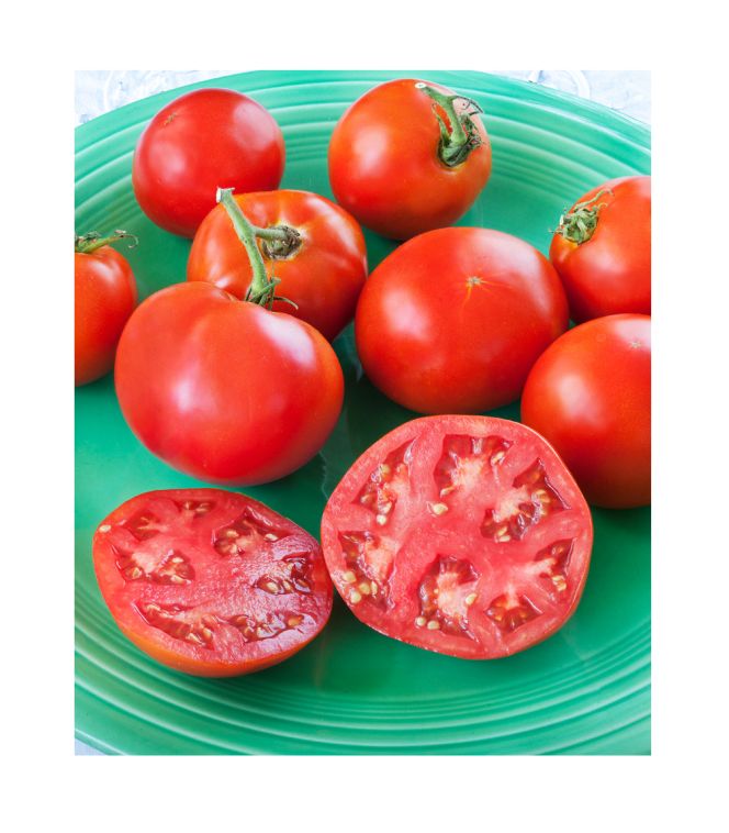 4.5-Inch Bonnie Original Tomato