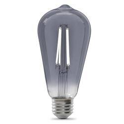Vintage Edison 25-Watt Equivalent ST19 E26-Medium Smoke Glass Daylight Dimmable LED Light Bulb, 1-Pack 2 Vintage Edison 25-Watt Equivalent ST19 E26-Medium Smoke Glass Daylight Dimmable LED Light Bulb, 1-Pack