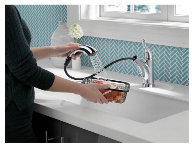 Chrome Grant® 1-Handle Pull-Out Kitchen Faucet